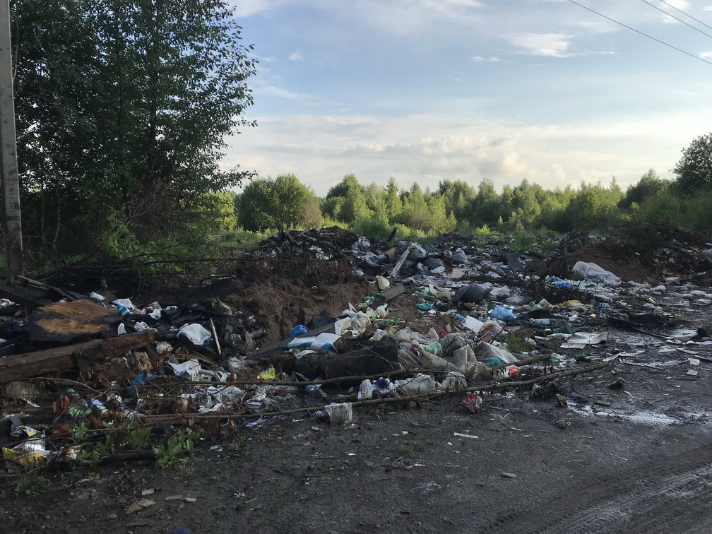 Прокуратура потребовала ликвидировать свалку в Дзержинском районе