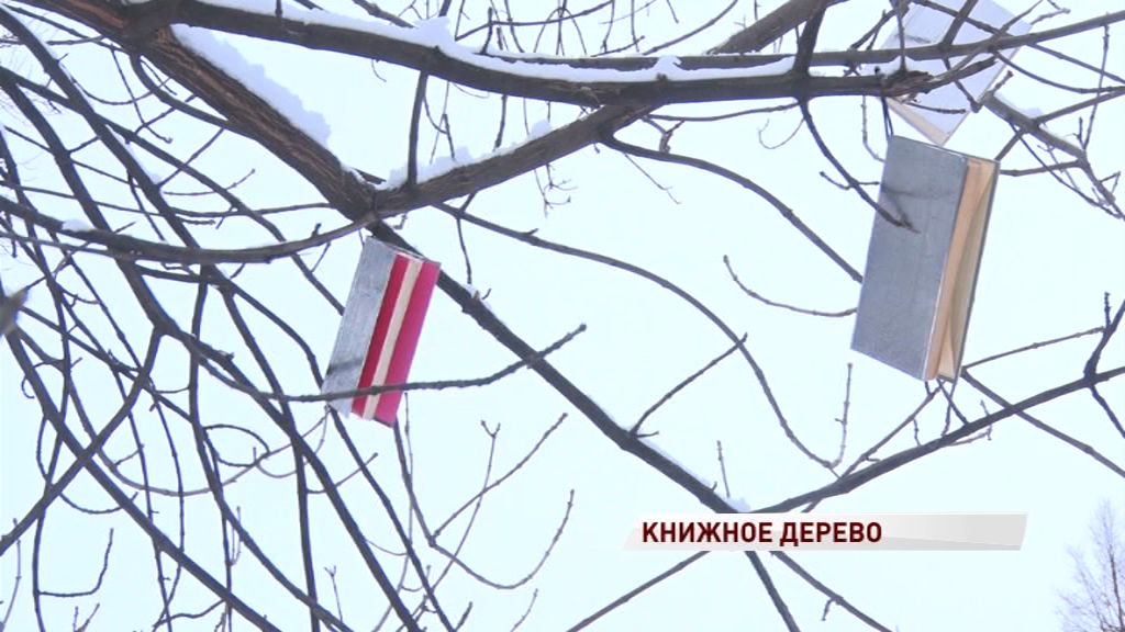 На дереве в Первомайском бульваре «выросли» книги: что означает новый арт-объект