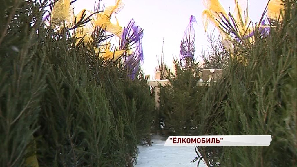 Новогодние праздники закончились: куда сдать с пользой елочки