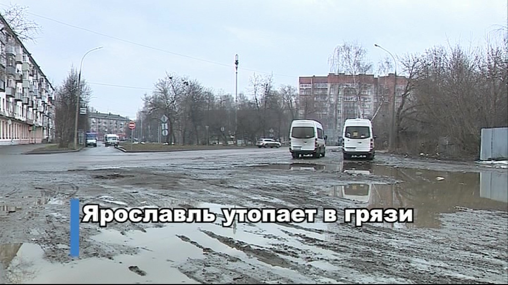 Снег растаял, дворы «цветут» мусором: кто отвечает за чистоту в Ярославле