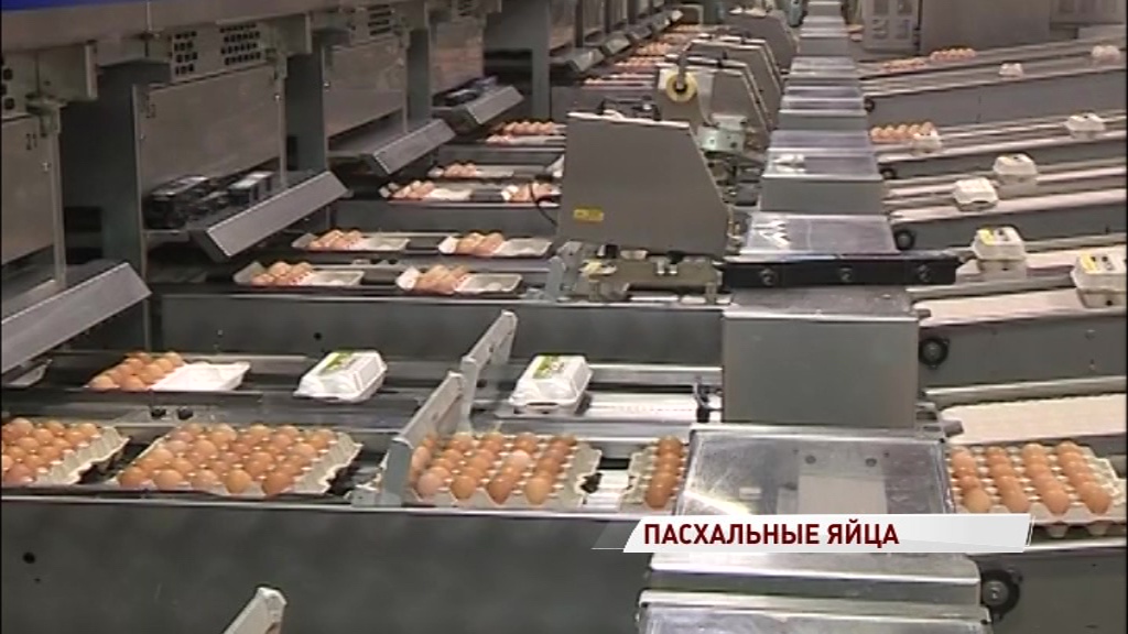 Роскачество: ни один производитель куриных яиц не заслужил Знака качества