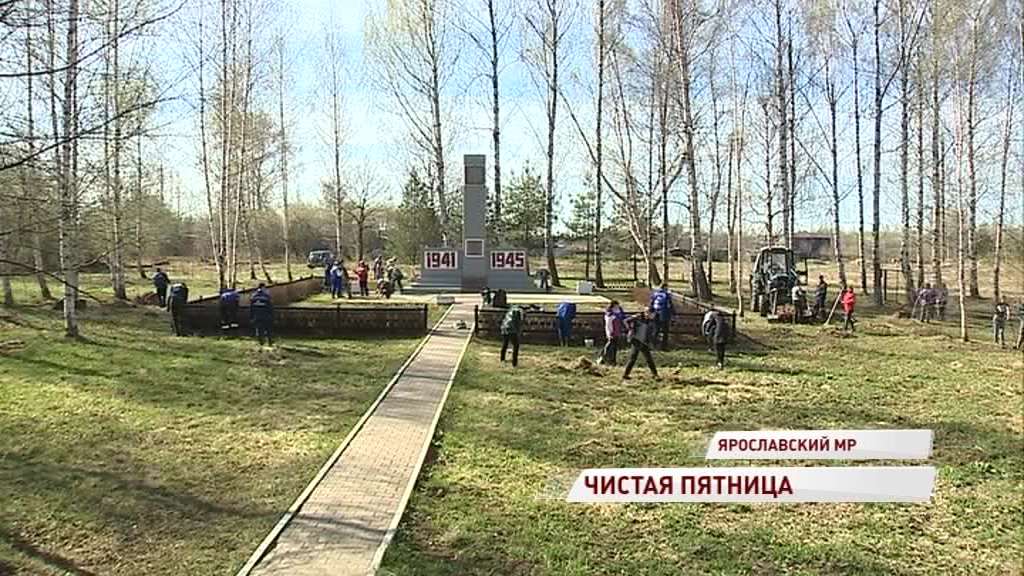 Жители Ярославской области продолжают борьбу за чистые улицы