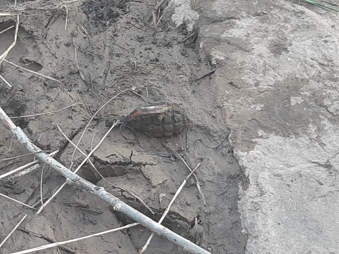 В Ярославской области нашли 35 артиллерийских снарядов и боевую гранату