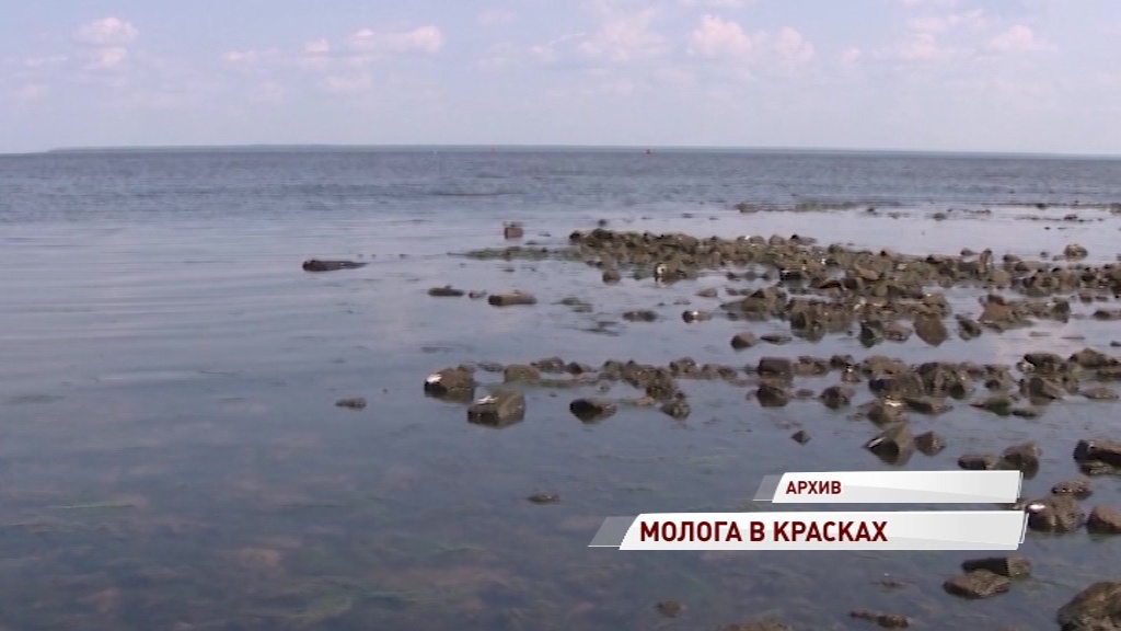 На средства президентского гранта сделают цветные фотографии затонувшего города Мологи