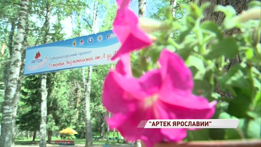 Дмитрий Миронов дал старт проекту «Артек Ярославии» в лагере имени Горького