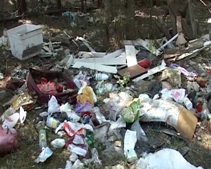 В регионе с нарушителей правил обращения с отходами взыскали полтора миллиона рублей