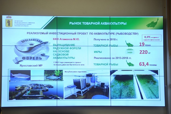 В области реализуют мероприятия по развитию конкуренции на 39 товарных рынках