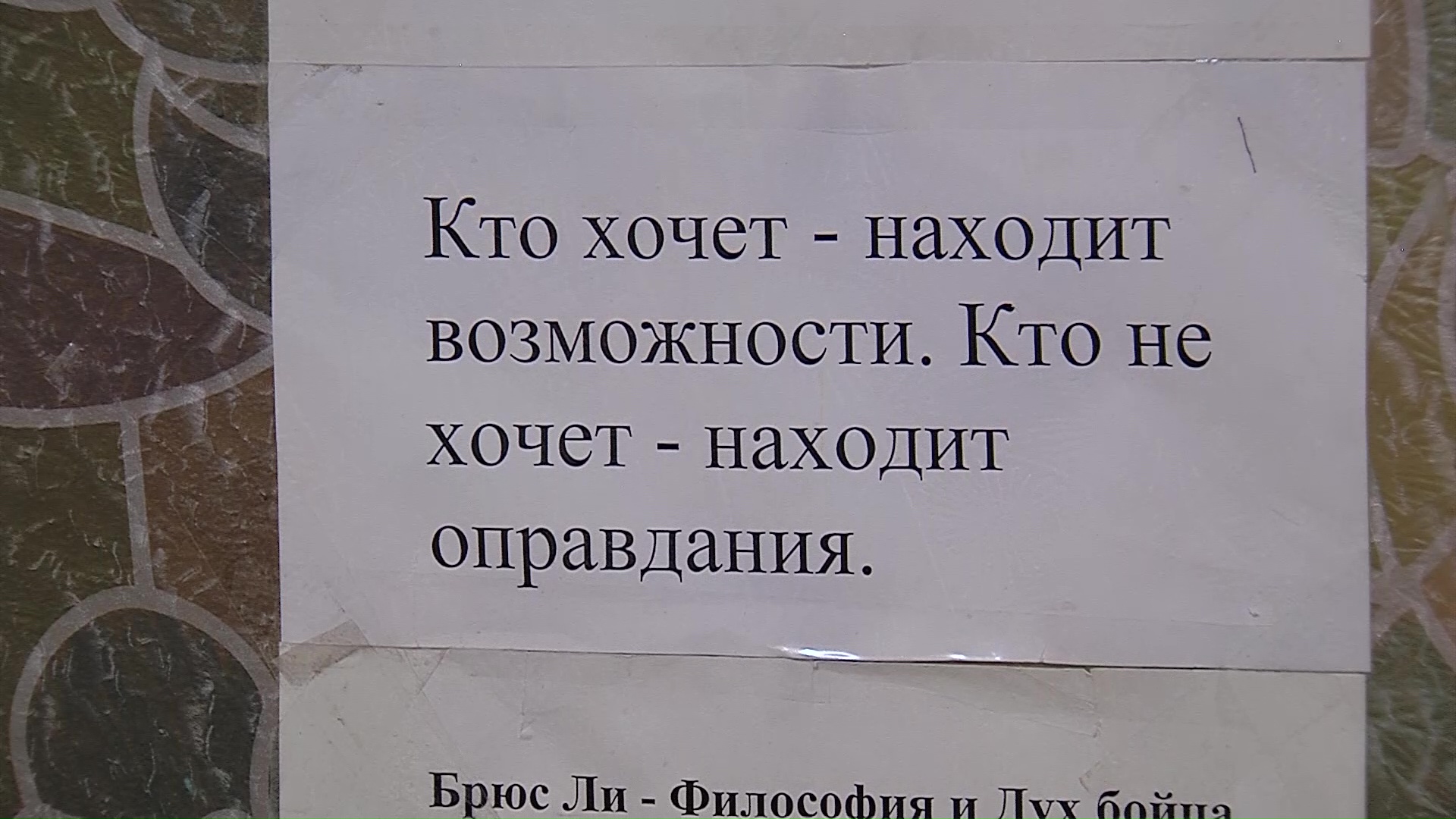 Более 200 ярославских детей-сирот нашли свой дом в этом году