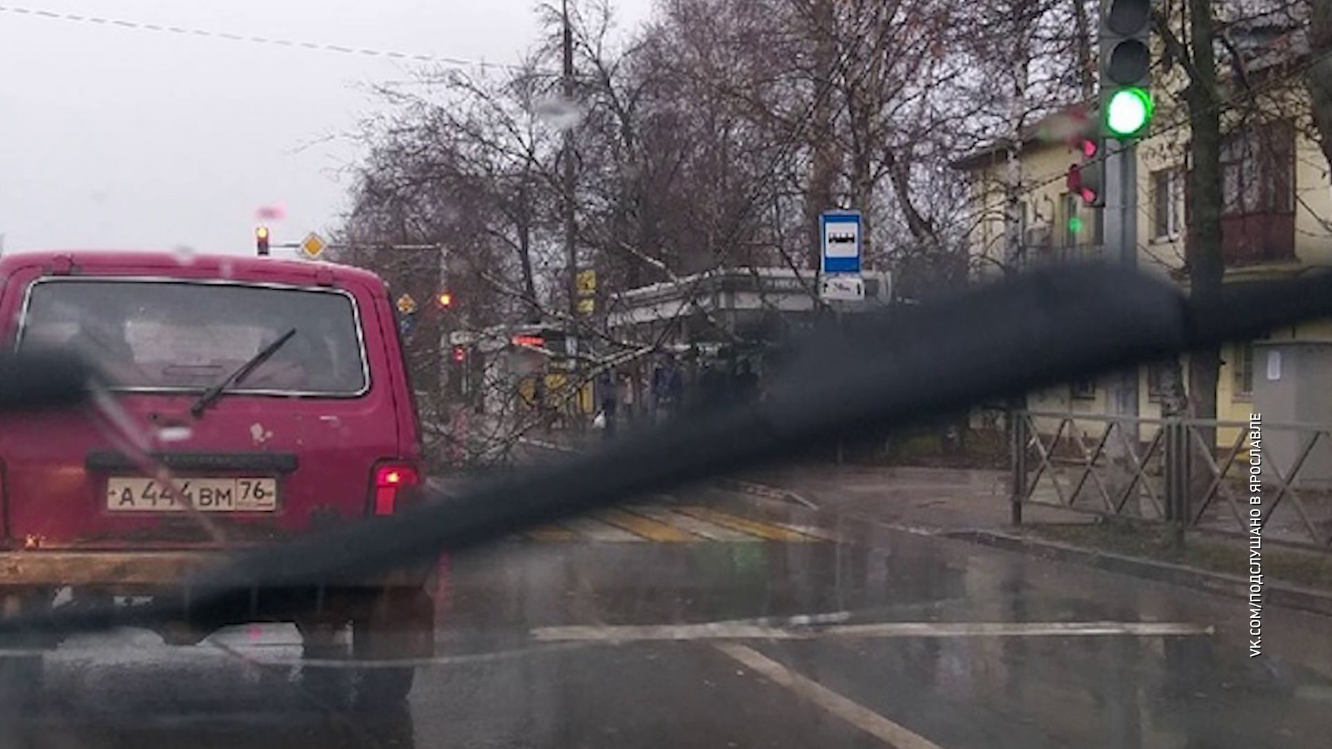 В Заволжском районе береза упала на остановку