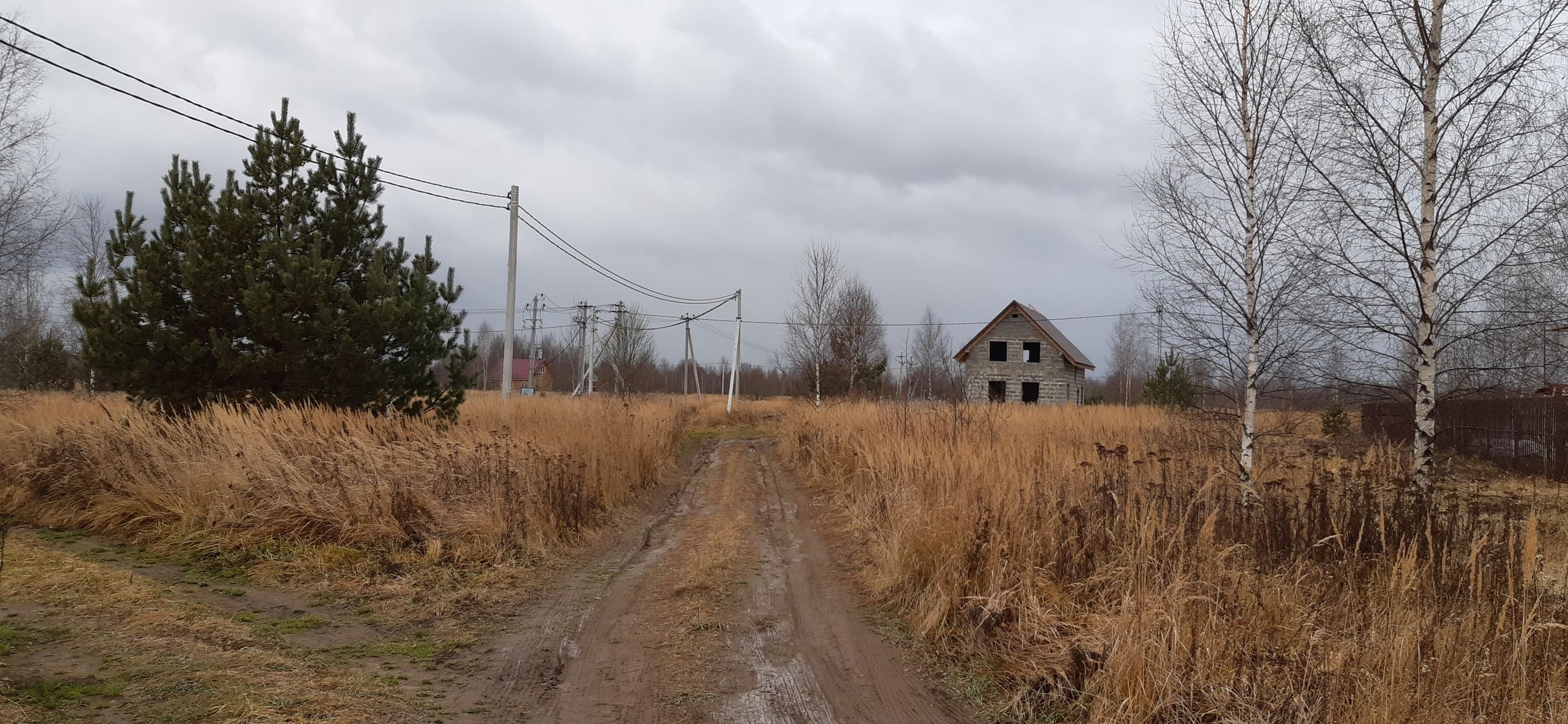 Более 750 земельных участков было предоставлено в этом году в Ярославской области молодым и многодетным семьям