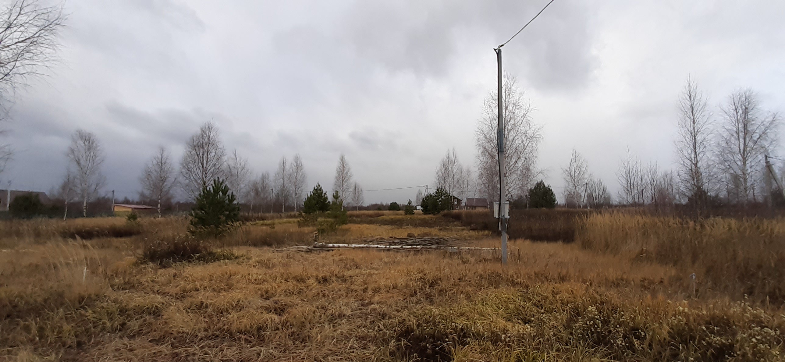 Более 750 земельных участков было предоставлено в этом году в Ярославской области молодым и многодетным семьям