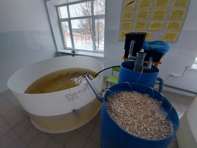 В Ярославской области появится аквакультурный комплекс садкового типа