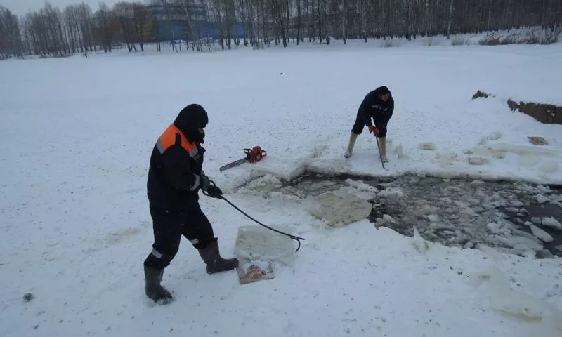 Ярославские спасатели помогают уткам пережить холодную зиму