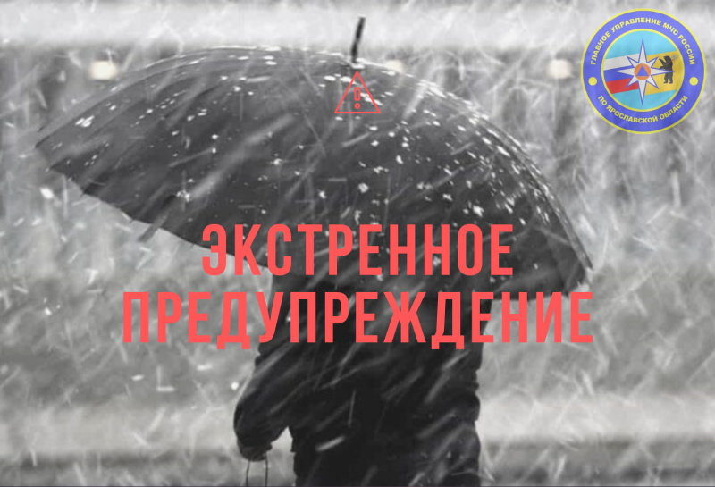 МЧС в Ярославской области обнародовало экстренное предупреждение в связи с возможной метелью