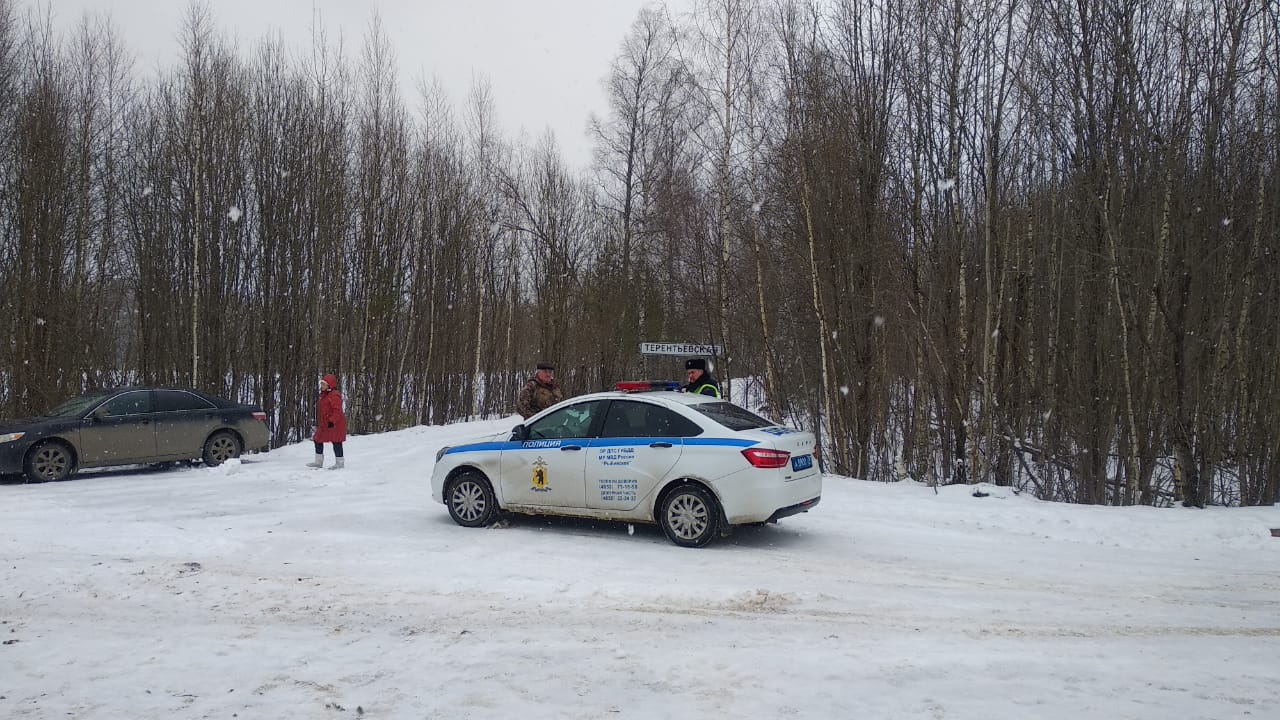 В этом году в Ярославской области пресекли уже 29 случаев браконьерства