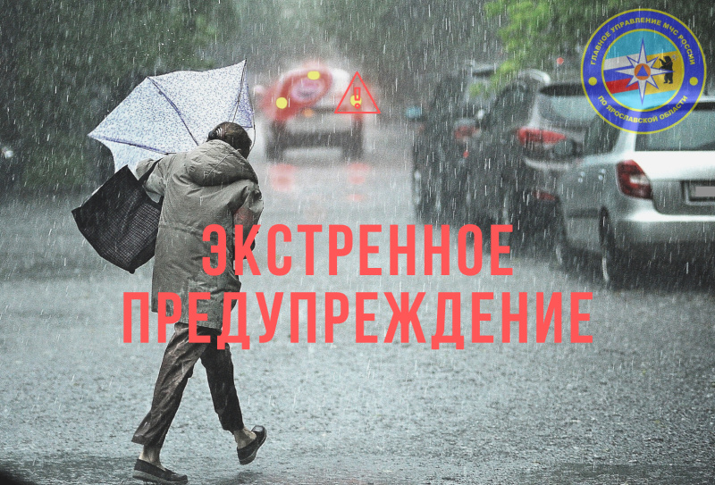 МЧС повторно предупредило о сильных порывах ветра в Ярославской области
