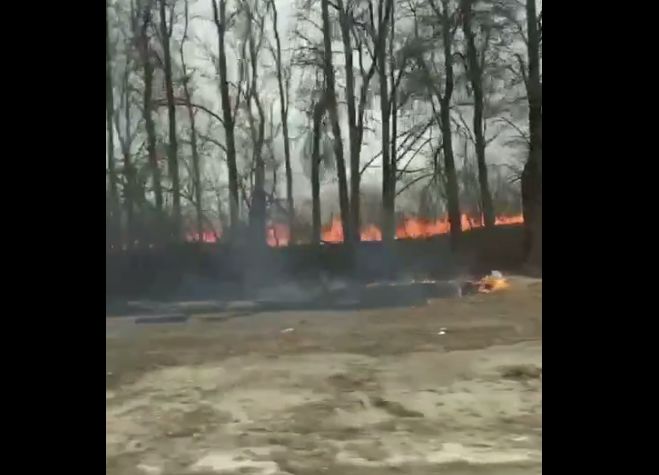 Огненная стена рядом с дорогой: в Ярославской области начались природные пожары