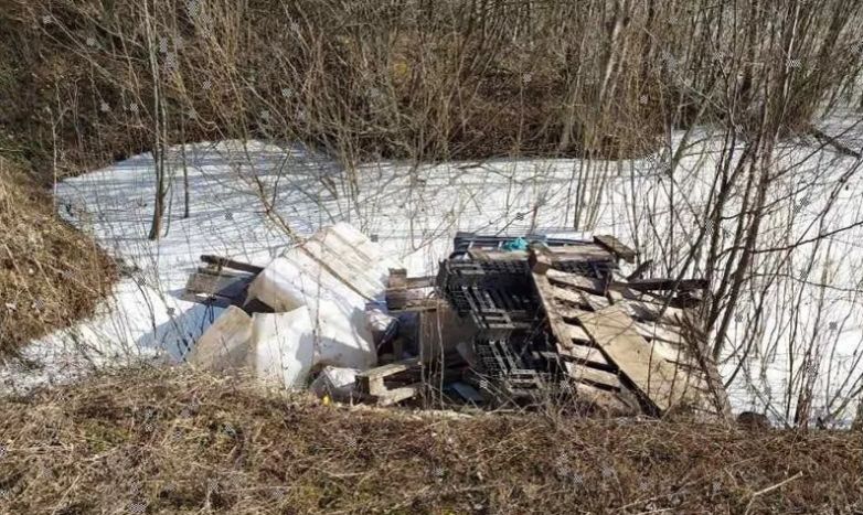 Под Ярославлем устанавливают виновных в загрязнении водоема