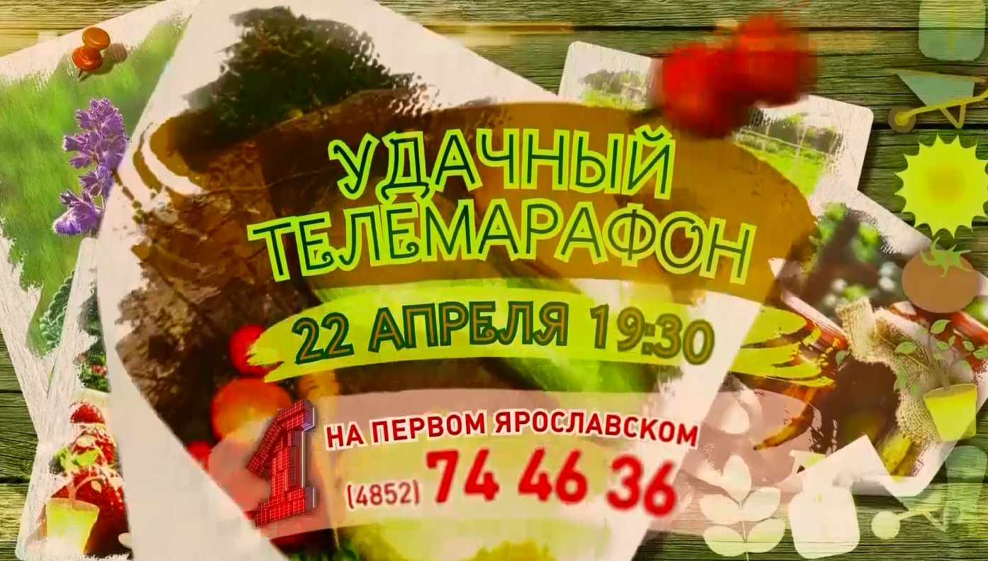 «Первый Ярославский» готовит «УДачный марафон»