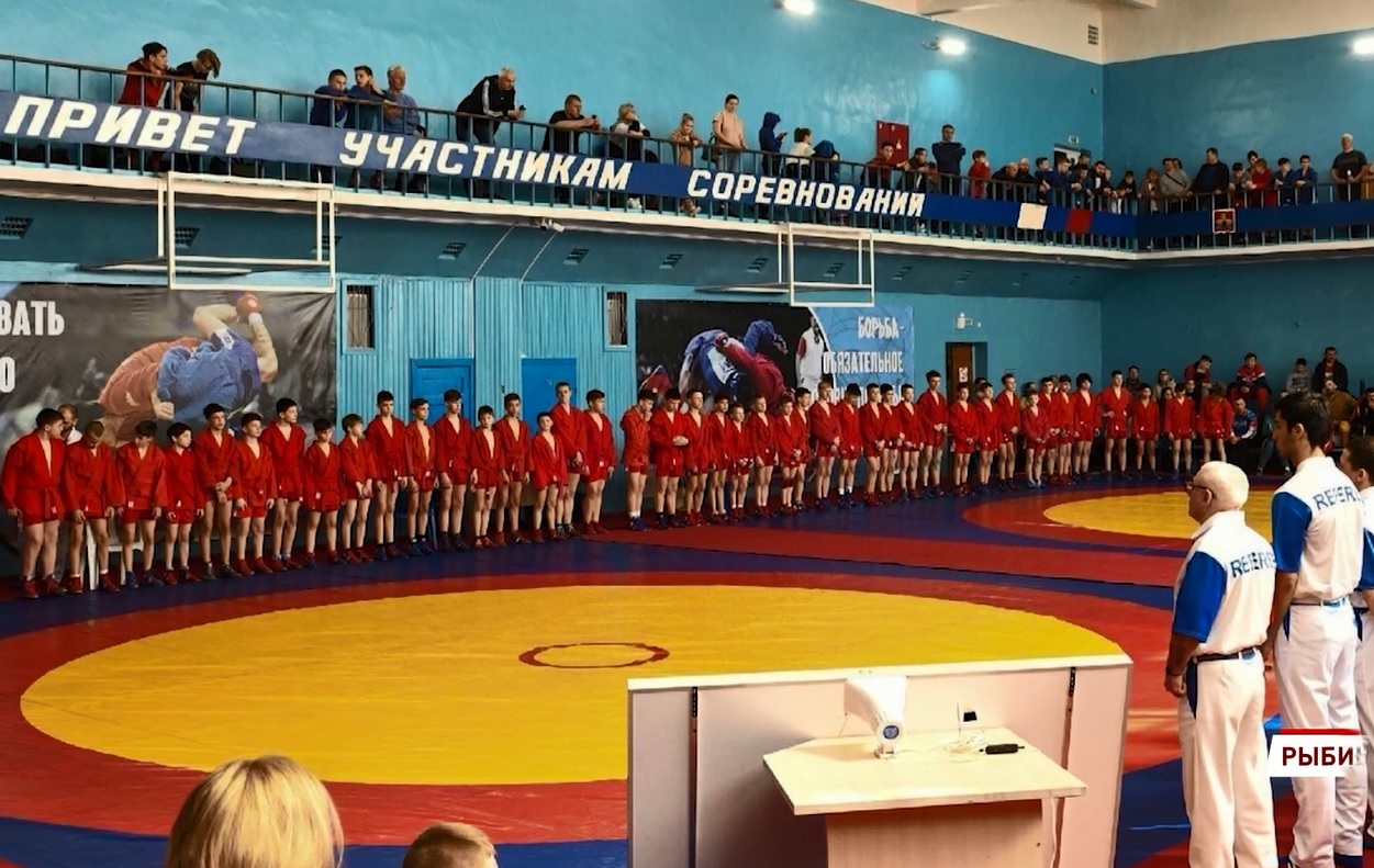 Ярославские самбисты взяли три медали на всероссийском турнире