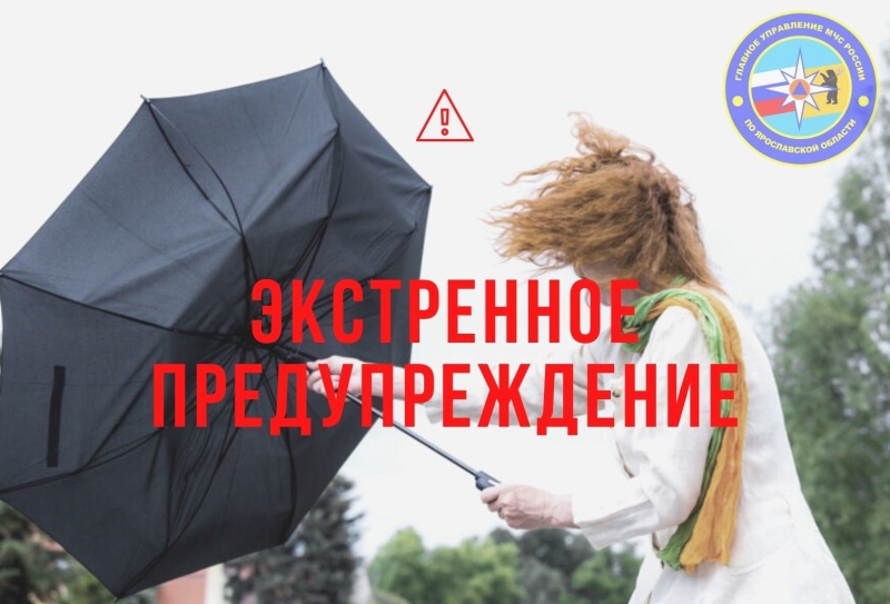 МЧС предупредило о возможной грозе в Ярославле и области