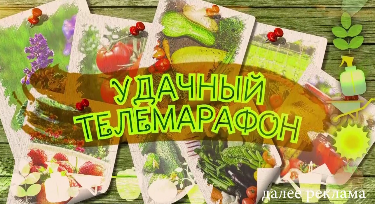 «Первый Ярославский» в преддверии дачного сезона провел «УДачный телемарафон»