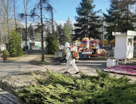 Парки Ярославля обработали от клещей