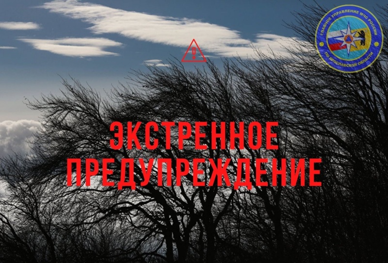 МЧС: до вечера пятницы в Ярославской области ожидается сильный ветер
