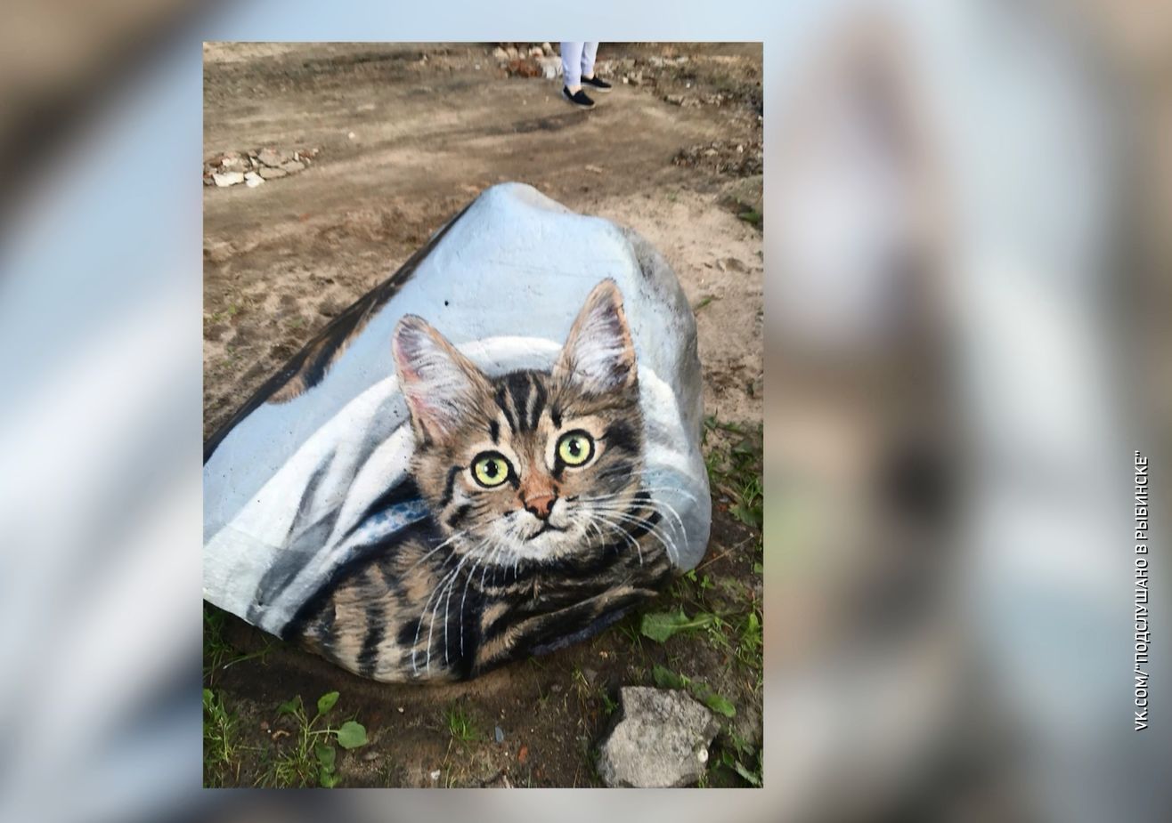 В Рыбинске неизвестный художник создаёт арт-объекты, расписывая простые валуны