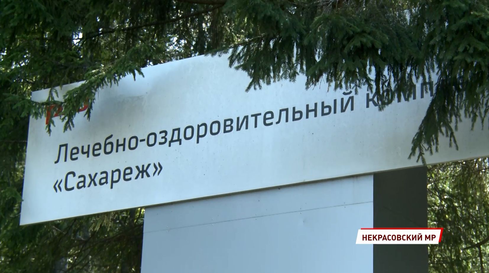 Массовая проверка в детском лагере «Сахареж» Ярославской области