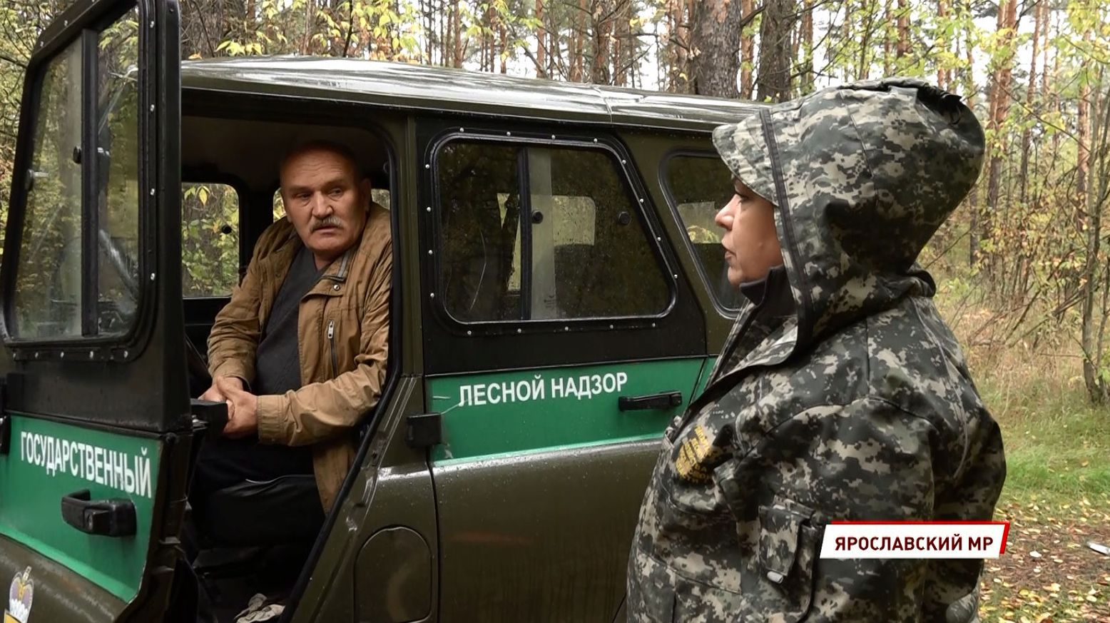 В Ярославской области в 2021 году с нарушителей лесного законодательства взыскано 11,5 миллионов рублей