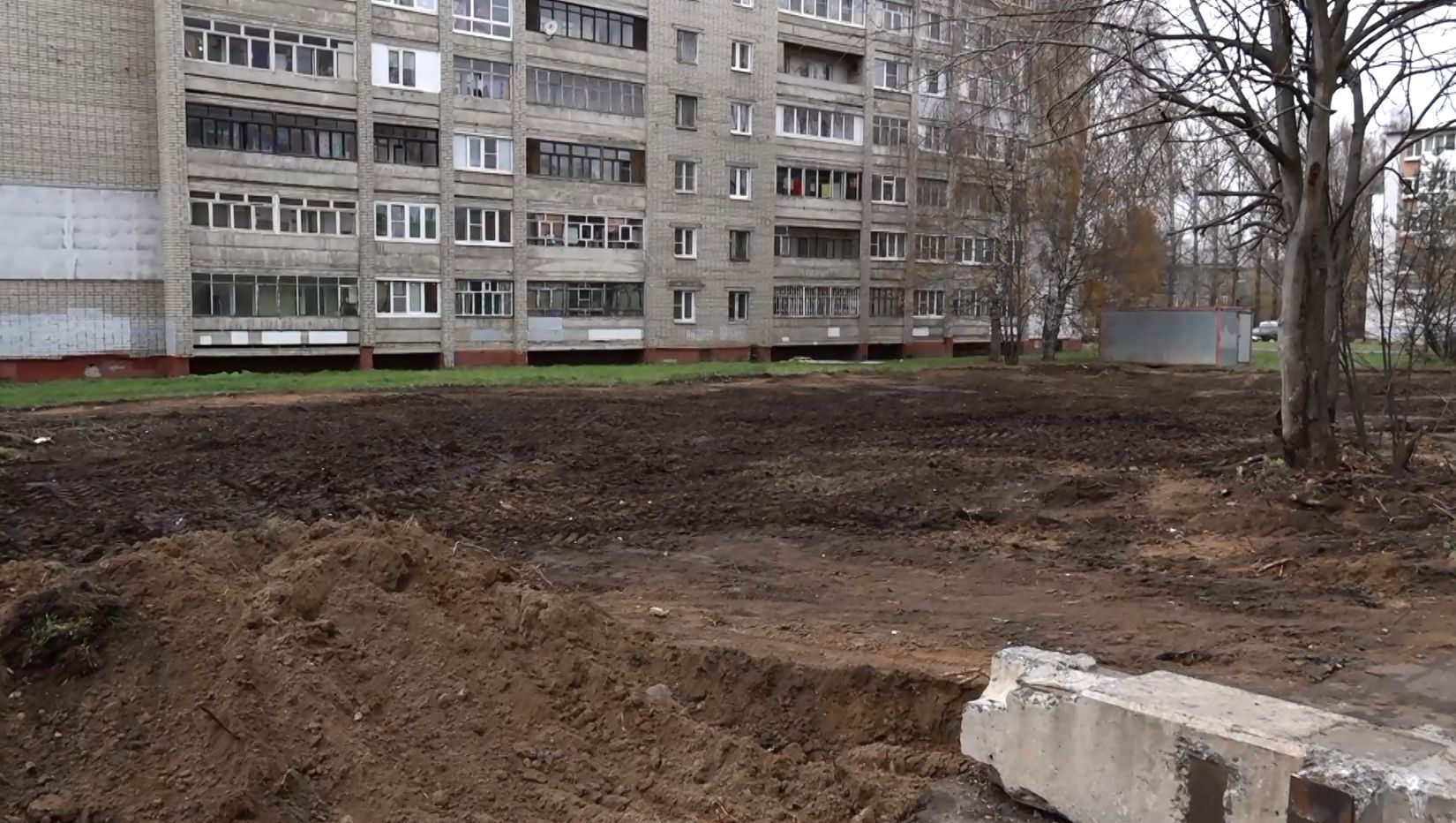 Жители домов по улице Нефтяников Ярославля жалуются на вырубку многолетних деревьев