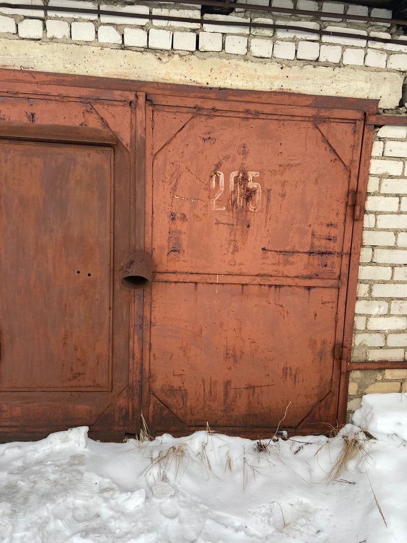 «Скончалась, не приходя в сознание»: установлена личность женщины, погибшей от укусов собак в Ярославской области
