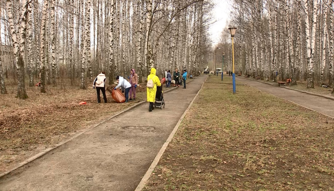 В Ярославле организуют общегородской субботник