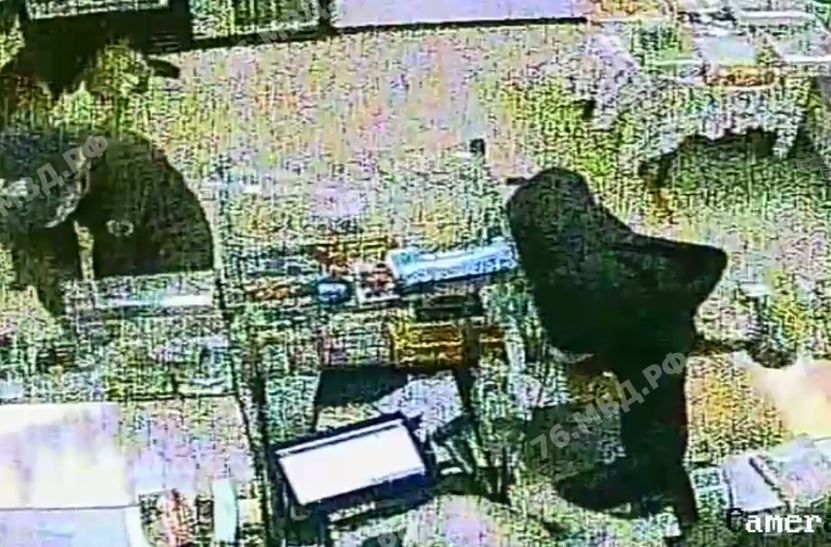 В Ярославской области храбрая продавщица пыталась защититься от воров