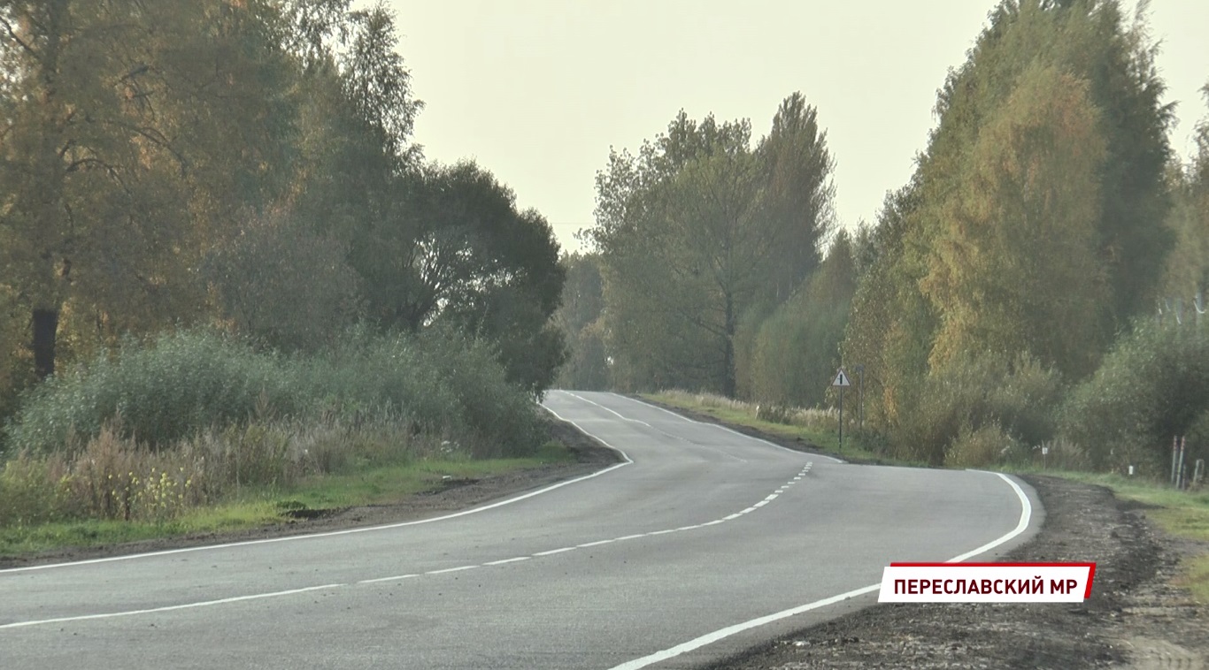 Назвали населенные пункты Ярославской области, в которых можно встретить медведей