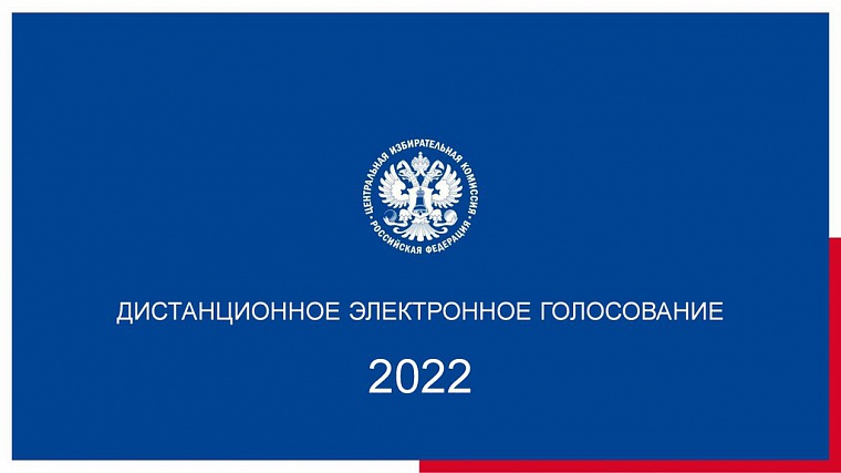 Ярославская область сохраняет лидерство в стране по дистанционному электронному голосованию