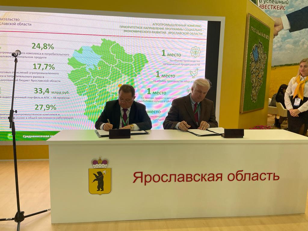 В Ярославской области будут производить бетулин и инулин