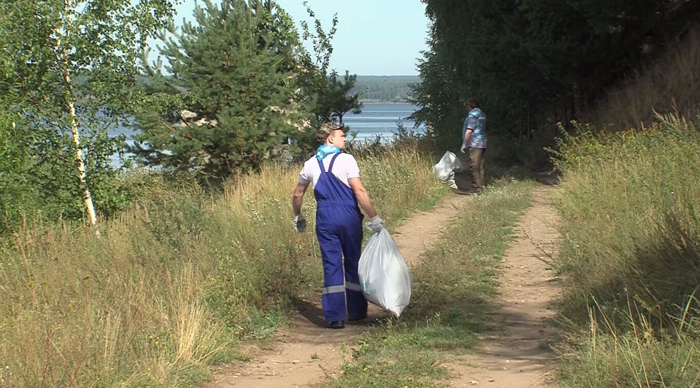 Ярославские студенты убрали с Рыбинского водохранилища 20 кубометров мусора