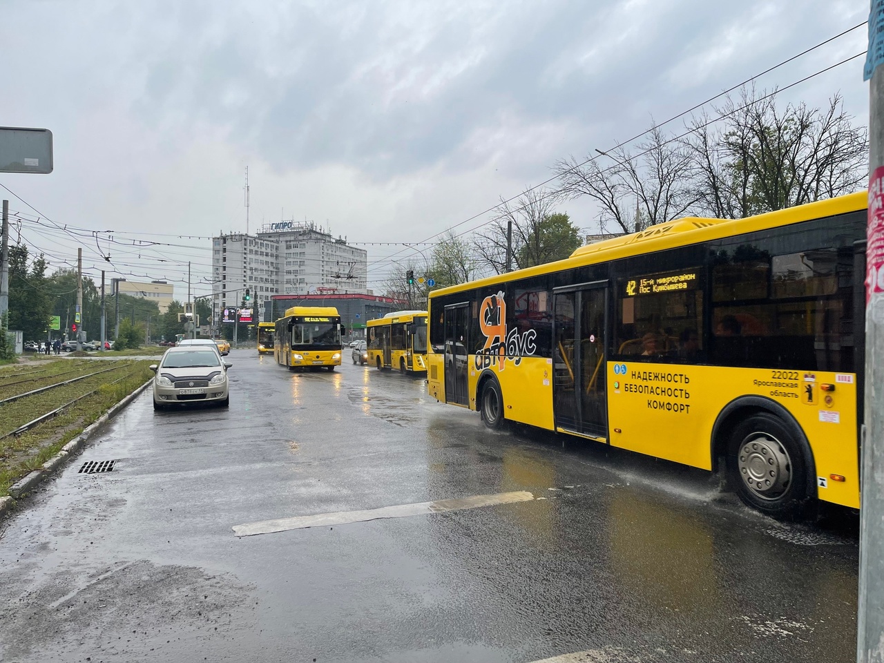 В Ярославле планируют крупную закупку электробусов