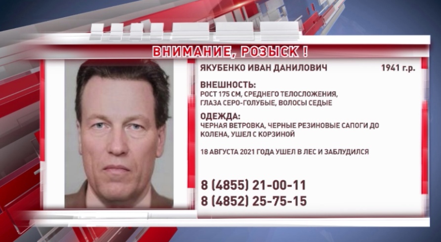 В Ярославской области более трех лет ищут заблудившегося в лесу мужчину