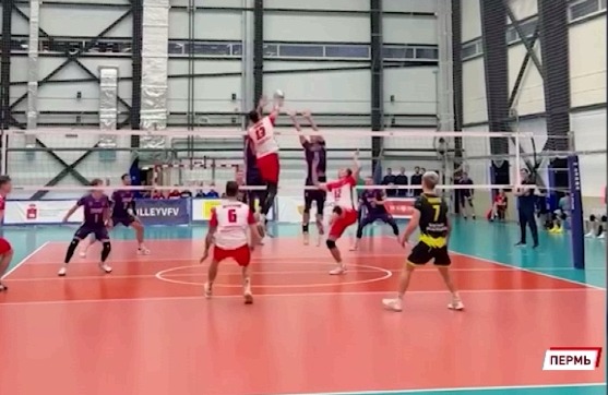 Волейбольный «Ярославич» дважды обыграл пермскую «Каму» в чемпионате Высшей лиги «А»