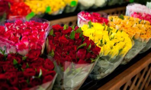 Стали известны адреса открывающихся к 8 Марта цветочных ярмарок в Ярославле