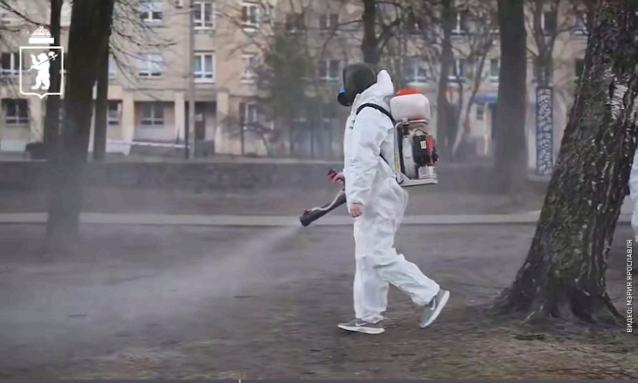 В парках и скверах Ярославля проводится обработка от клещей