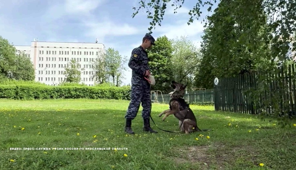 Сотрудники ярославского УФСИН завоевали серебро на всероссийских соревнованиях