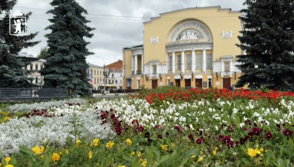 Ярославль расцветает: в городе высадили более 600 тысяч цветов
