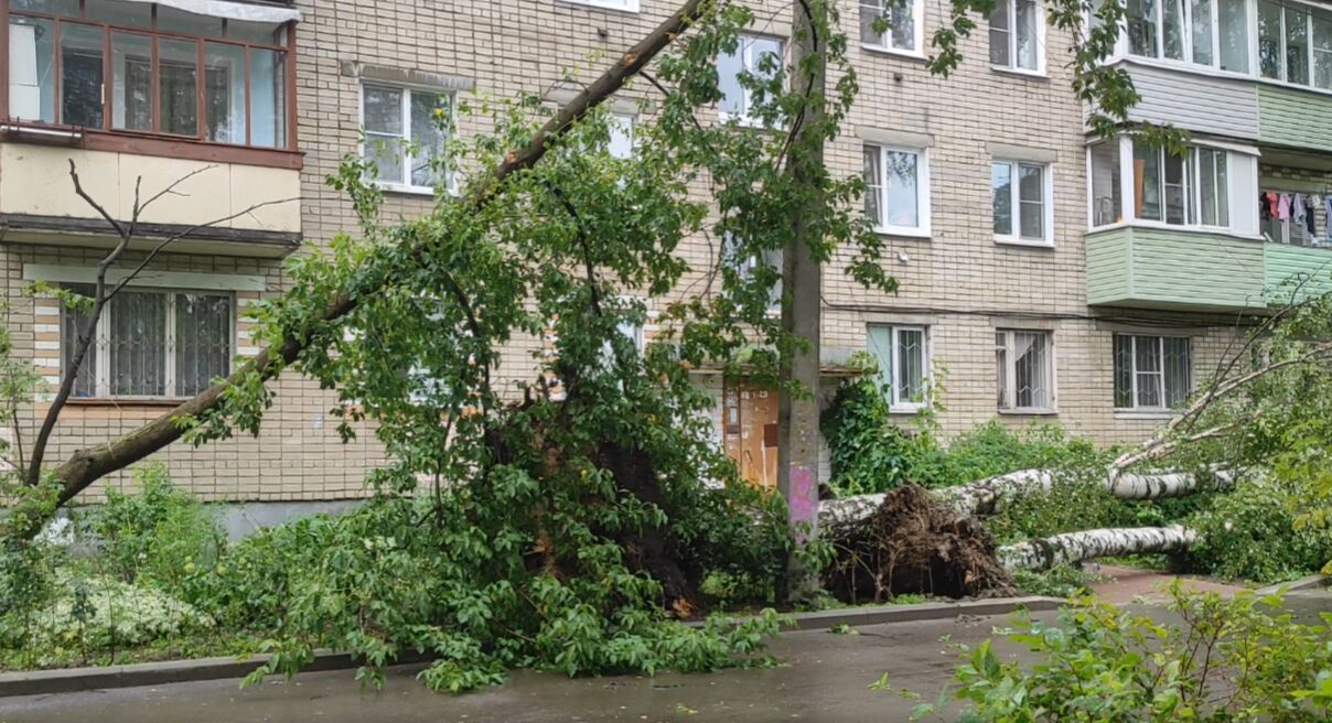 Ураган может вернуться: в правительстве Ярославской области сообщили о сохраняющейся опасности