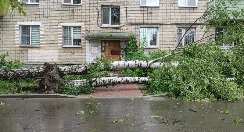 Стали известны последствия сильнейшего урагана в Ярославле