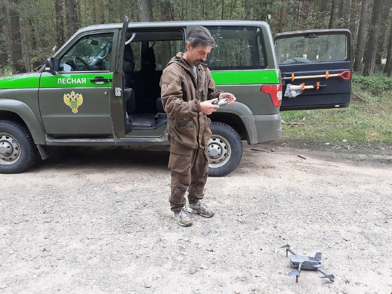 В Ярославской области из-за аномальной жары вновь ввели ограничения на посещение лесов