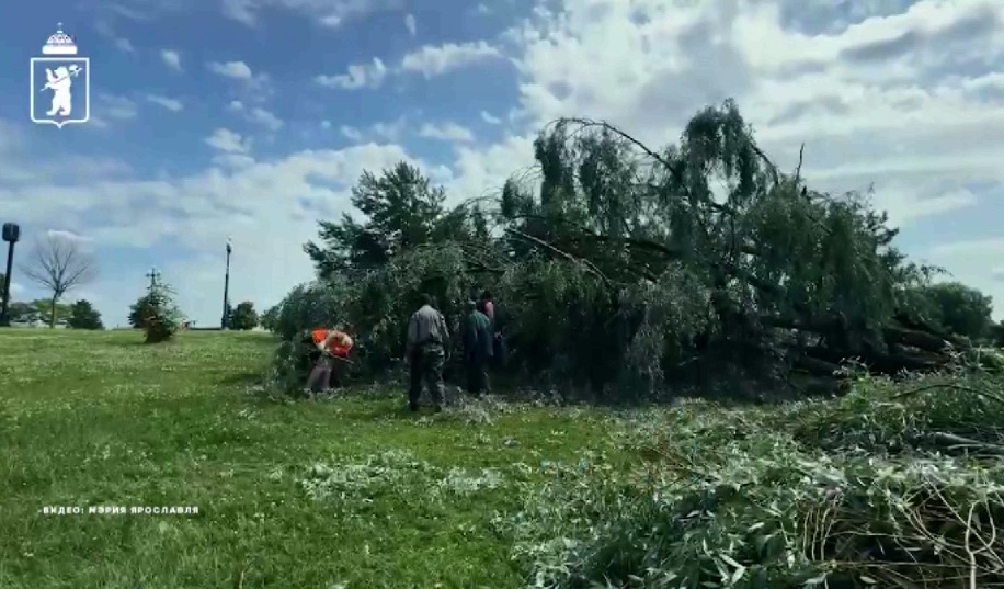 Улицы Ярославля освободили от поваленных во время урагана деревьев